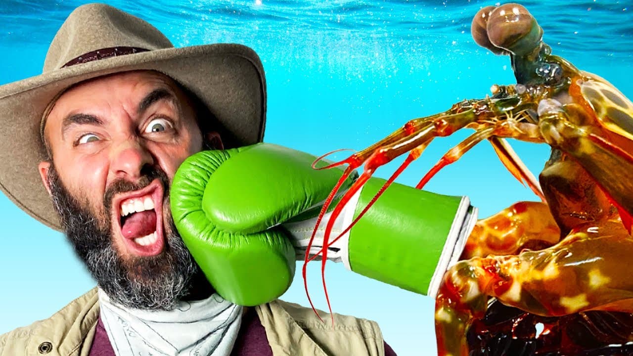 PC game advertising campaign: blending performance and programmatic